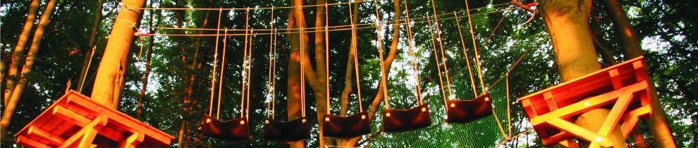 Kletterwald