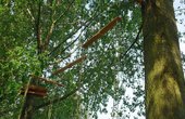 Partnerparcours