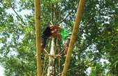 Partnerparcours