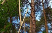 Kletterwald Kletterpark Joensuu