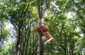 Kletterpark Abenteuerpark Hochseilgarten