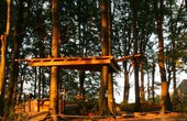 Hochseilgartenbau