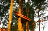 Hochseilgartenbau
